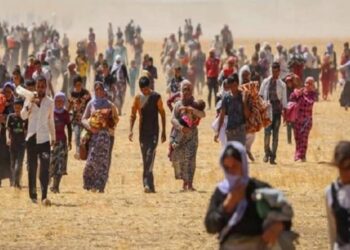 Yezdemîn Salvegera Komkujiya Şengalê.