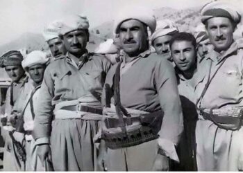 Ronahiyek ser şoreşa 11ê Êlûnê sala 1961an.