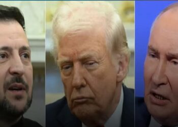 TIRAMP: POTIN Û ZÎLÎNISKÎ NE AMADE NE.   