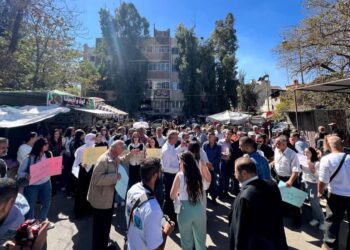 HESEKÊ: BINGEHA QESRIKÊ PERWERDEYÊN LEŞKERÎ YÊN BERFIREH LI DARDIXIN.