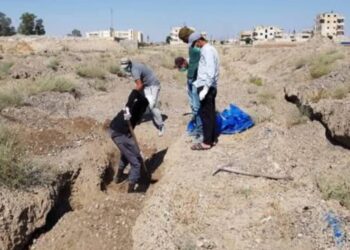 5 Gorên komî ya ku 17 term tê de bûn di meha Êlûnê de hatina dîtin.