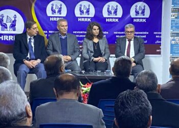 QAMIŞLI: RÛNIŞTINEKE DIYALOKÊ HATE LIDARXISTI.