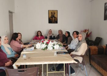 Qamişlo: YJK_Sê civînek li darxist ..