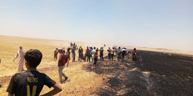 LI KURDISTANA SÛRIYA LI GUNDEWARÊ DIRBÊSIYÊ AGIR BI ZEVIYÊ COTKAREKÎ KET ..