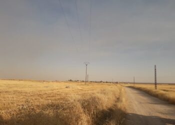 DIRBÊSIYÊ: ŞAREDARIYA SÊKIR.