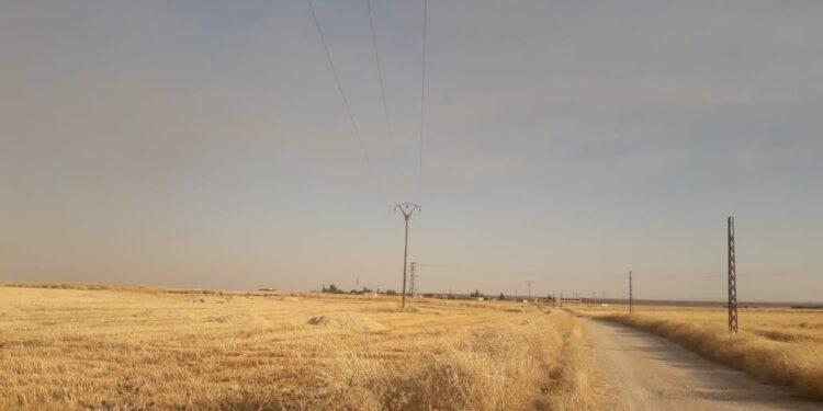 DIRBÊSIYÊ: ŞAREDARIYA SÊKIR.