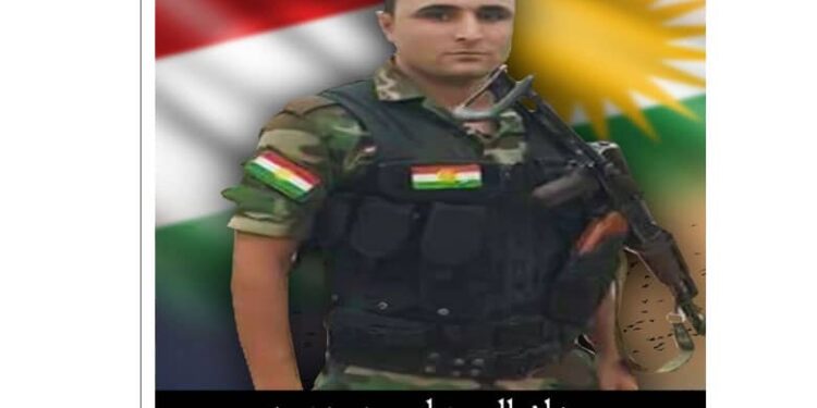Salvegera 10emîn a şehadeta Pêşmerge Daniyal Hewas derbas dibe..
