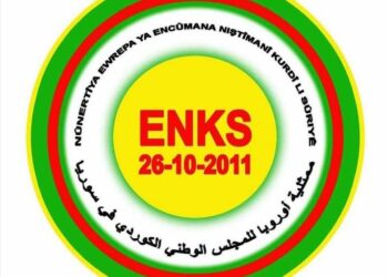 NÛNERTIYA EWROPA YA “ENKS” SEMÎNAREKE SIYASÎ LI SER ÎNTERNETÊ LI DAR XIST.