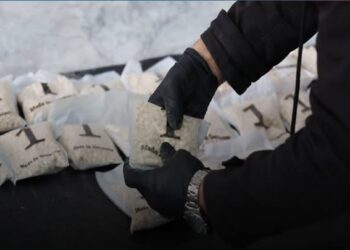 LI SÛRIYÊ DI MEHA TÎRMEHÊ DE ZÊDETIRÎ 7 MILYON HEBÊN KABTAGON HATIN DESTESERKIRIN.