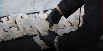 LI SÛRIYÊ DI MEHA TÎRMEHÊ DE ZÊDETIRÎ 7 MILYON HEBÊN KABTAGON HATIN DESTESERKIRIN.