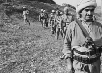 Ronahiyek ser şoreşa 11ê Êlûnê sala 1961an.